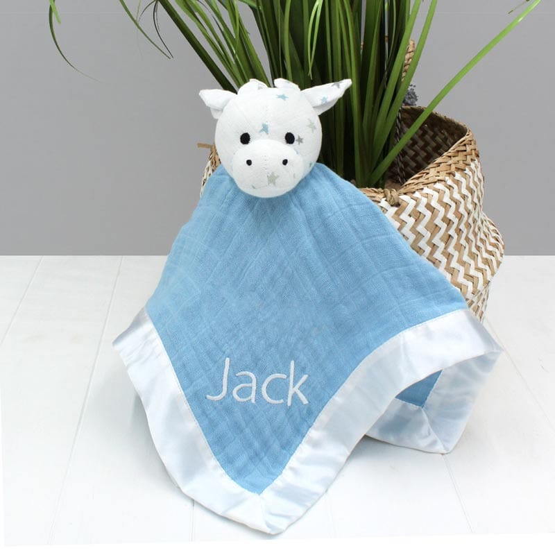 Aden and anais security best sale blanket blue