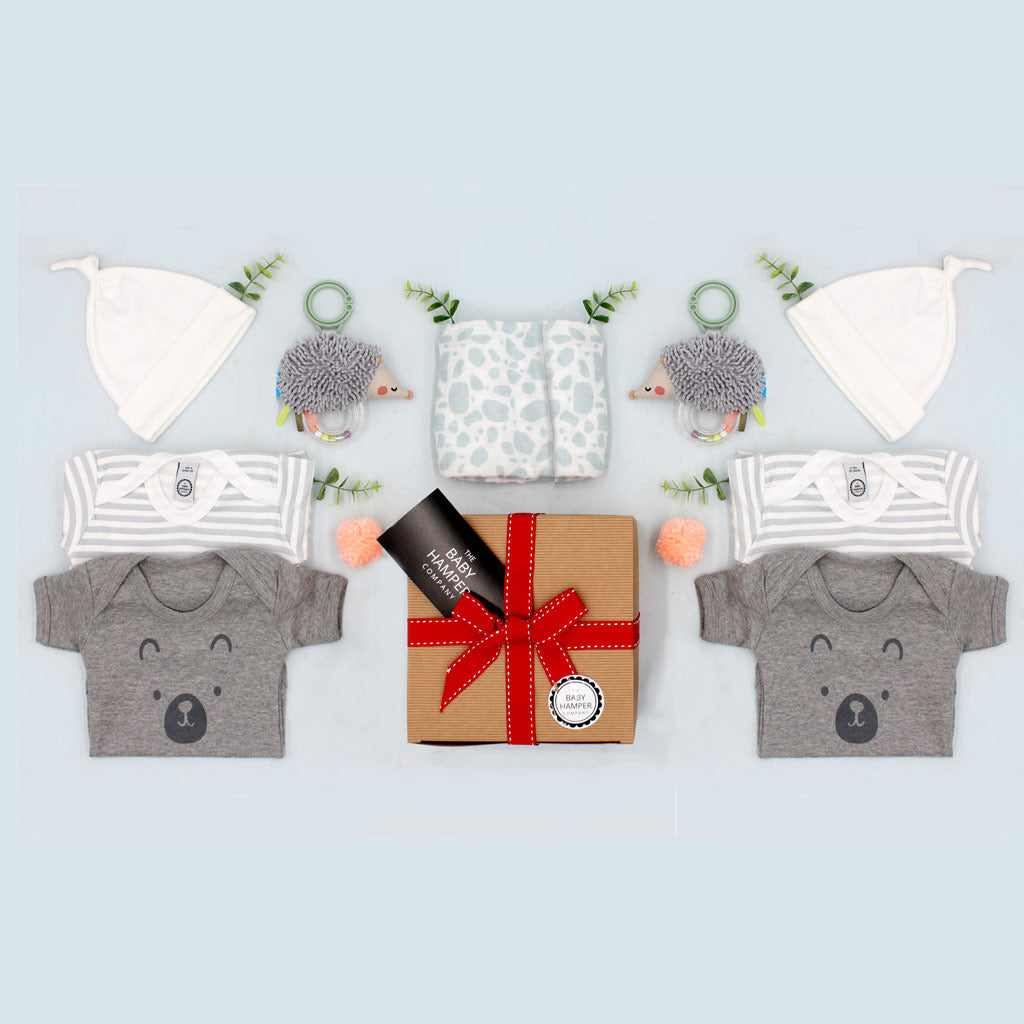 Twin Boys Baby Gift Box